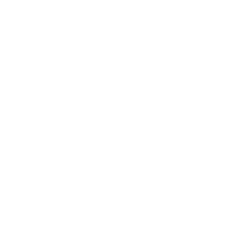 その日の美味しい料理と、